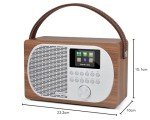 LEMEGA M2P Bluetooth DAB/FM Internet Radio