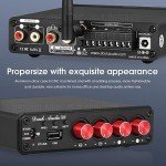 HiFi Bluetooth 5.0 Stereo Audio Amplifier 50W