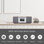 LEMEGA MSY5 All-in-One Music System with Bluetooth