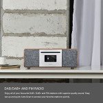 LEMEGA MSY5 All-in-One Music System with Bluetooth