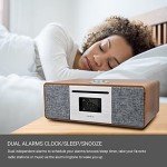 LEMEGA MSY5 All-in-One Music System with Bluetooth