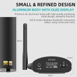 1Mii DS500 HiFi Bluetooth 5.1 Audio Receiver