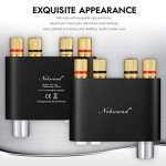 Nobsound NS-10G Bluetooth Mini Power Amplifier