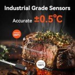 Meatmeet Pro WiFi Bluetooth Meat Thermometer
