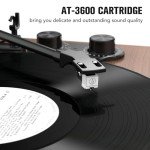 Udreamer Bluetooth Turntable Hi-Fi System with Speakers