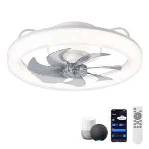CHANFOK 20'' Smart Ceiling Fan with Lights