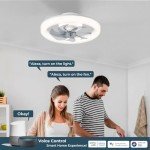 CHANFOK 20'' Smart Ceiling Fan with Lights