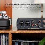 Fosi Audio ZA3 Balanced Stereo/Mono Amplifier HiFi with TPA3255 Chips, Mini Audio Amp Monoblock with XLR RCA Inputs and 12V Trigger-in for Desktop Bookshelf Passive Speakers with 48V5A Power Supply