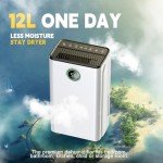 12L Smart Dehumidifier with Digital Display & Modes