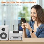 1Mii B06Pro+ Bluetooth 5.1 Hi-Res Audio Receiver