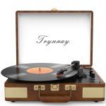 Bluetooth Portable Vinyl Record Player with Speakers