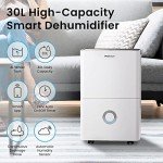 Dehumidifier for Home and Office Use