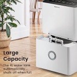 Dehumidifier for Home and Office Use