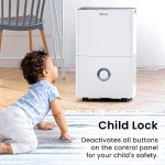 Dehumidifier for Home and Office Use