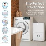 Dehumidifier for Home and Office Use