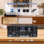 Bluetooth 5.3 Stereo Amplifier with 1000W Power