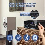 Bluetooth 5.3 Stereo Amplifier with 1000W Power