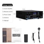 Bluetooth 5.3 Stereo Amplifier with 1000W Power