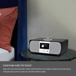 LEMEGA M3P WiFi Stereo Internet Radio & Speaker
