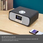 LEMEGA M3P WiFi Stereo Internet Radio & Speaker