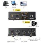 PROZOR 100W Stereo Audio Amplifier with Bass Boost