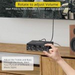 PROZOR 100W Stereo Audio Amplifier with Bass Boost