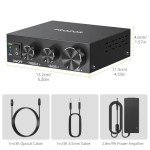 PROZOR 100W Stereo Audio Amplifier with Bass Boost