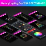 Smart WiFi LED Fairy String Lights, 10M