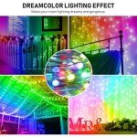 Smart WiFi LED Fairy String Lights, 10M