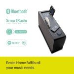 Pure Evoke All-in-One Stereo Music System