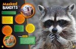 2025 National Geographic Kids: Wild Facts and Records