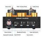 Douk Audio X1 Bluetooth HiFi Tube Amplifier