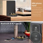 Douk Audio X1 Bluetooth HiFi Tube Amplifier