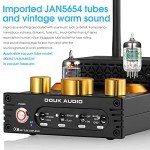 Douk Audio X1 Bluetooth HiFi Tube Amplifier