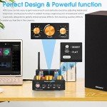 Douk Audio X1 Bluetooth HiFi Tube Amplifier