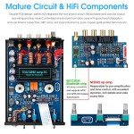 Douk Audio X1 Bluetooth HiFi Tube Amplifier