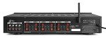 6-Zone Stereo Amplifier with Surround Sound
