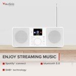 Audizio Rome Wi-Fi Internet Radio with Bluetooth