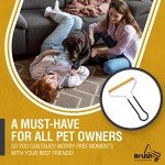 Handheld Lint and Pet Hair Remover Gadget