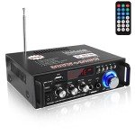 Compact Bluetooth 5.0 Mini Audio Amplifier 300W