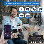 Compact Bluetooth 5.0 Mini Audio Amplifier 300W