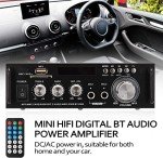 Compact Bluetooth 5.0 Mini Audio Amplifier 300W