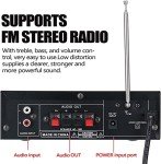 Compact Bluetooth 5.0 Mini Audio Amplifier 300W