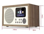 Inscabin D2 Bluetooth Internet Radio with App Control