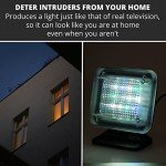 Ex-Pro Fake TV Simulator for Home Security