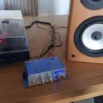 Arigoul Mini Hi-Fi Stereo Amplifier for Speakers