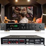 Compact Bluetooth HiFi Stereo Music Amplifier