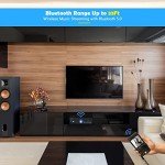 NEOHIPO 300W Bluetooth Hi-Fi Karaoke Amplifier