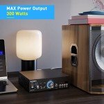 NEOHIPO 300W Bluetooth Hi-Fi Karaoke Amplifier