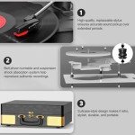 FYDEE Retro Bluetooth Vinyl Record Player with Speakers